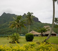 Island Tour
